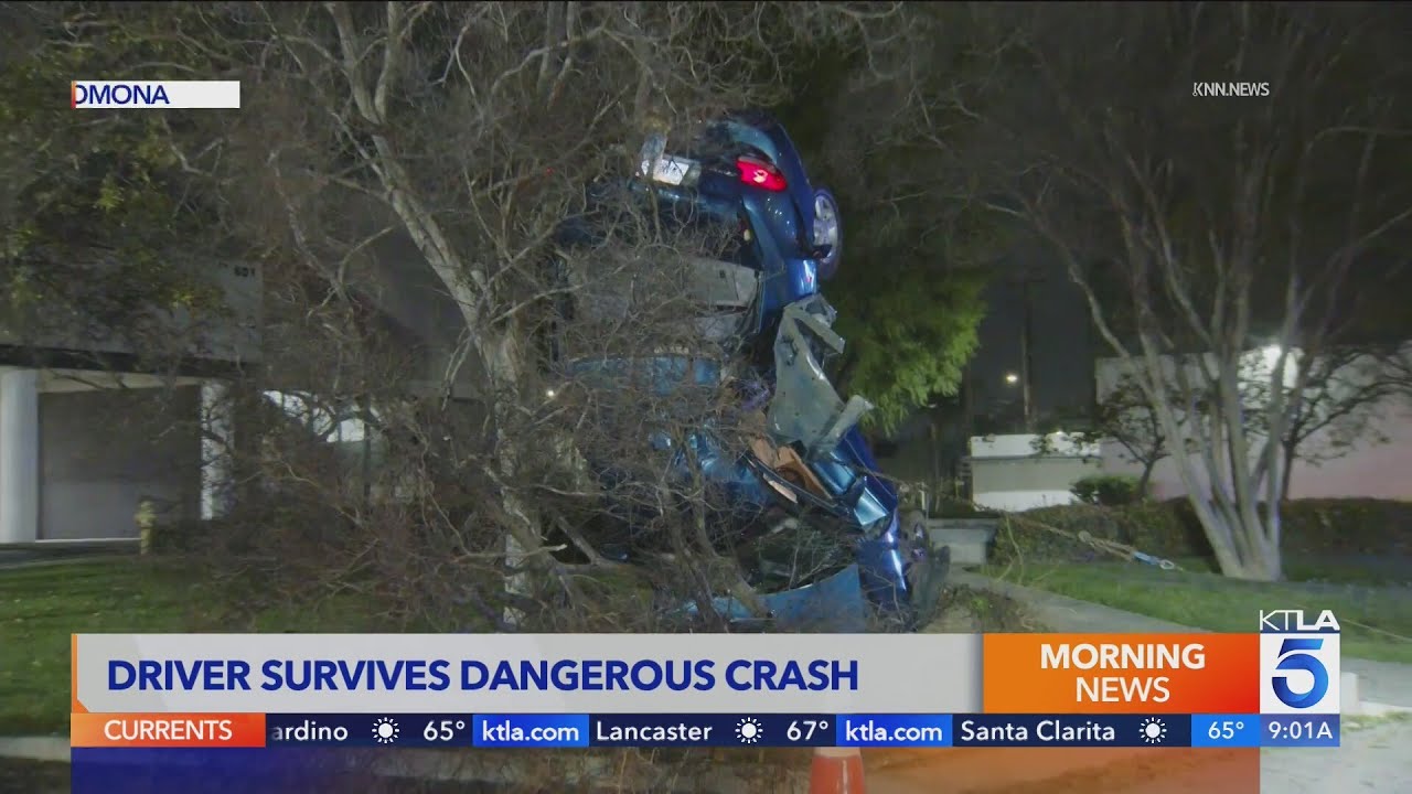 Car ends up wedged against tree in Pomona