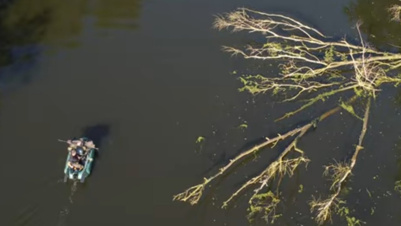 Leśne karpie i zapomniana dzika woda