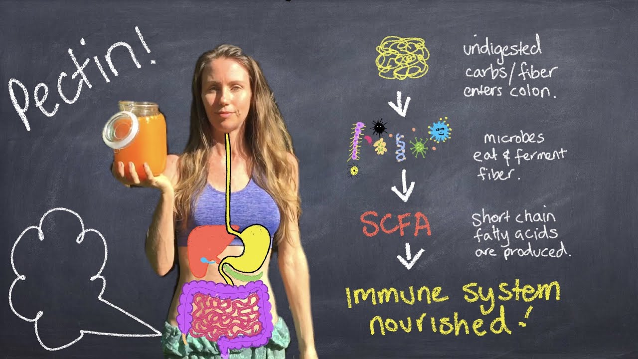 How to have excellent digestion. The Best immune-boosting foods for gut microbiome.