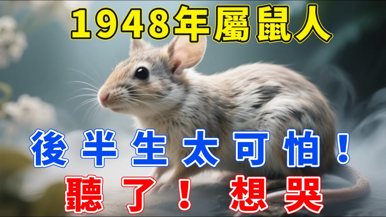 屬鼠人，1948年戊子年生，後半生太可怕！聽了！想哭！【生肖梵音】#生肖 #運勢 #風水 #財運#命理