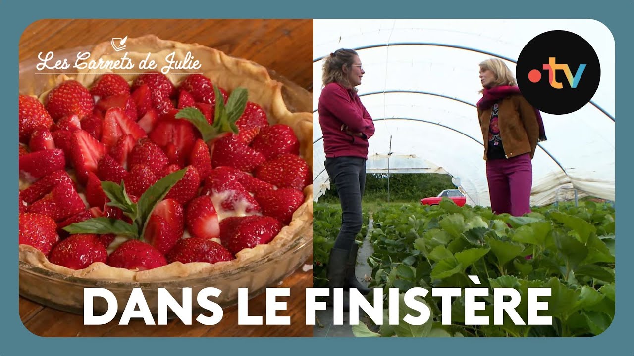 Paysans d'Aujourd'hui dans le Finistère - Les Carnets de Julie