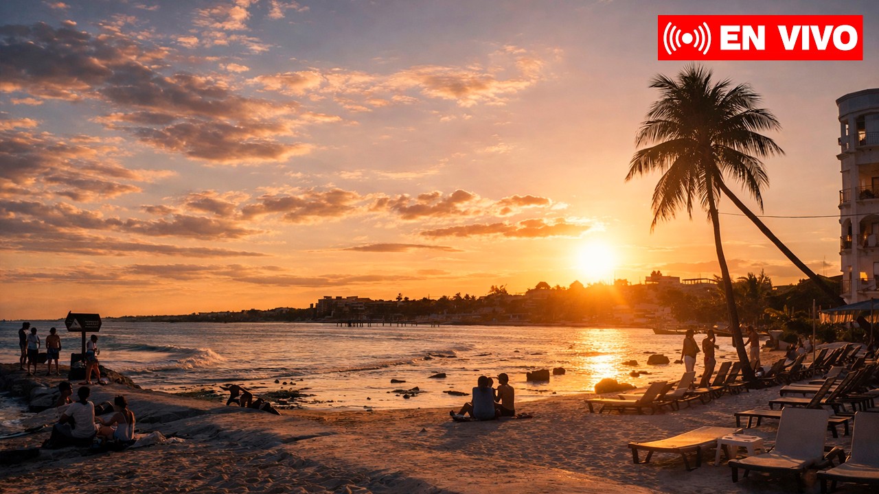 🔴 Playa del Carmen Sargazo en playas | En vivo
