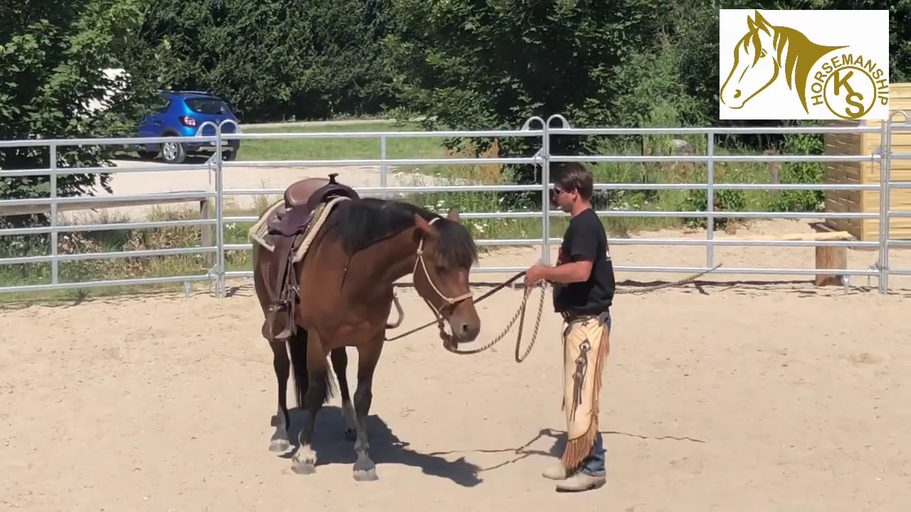 Anreiten Jungpferd KS Horsemanship