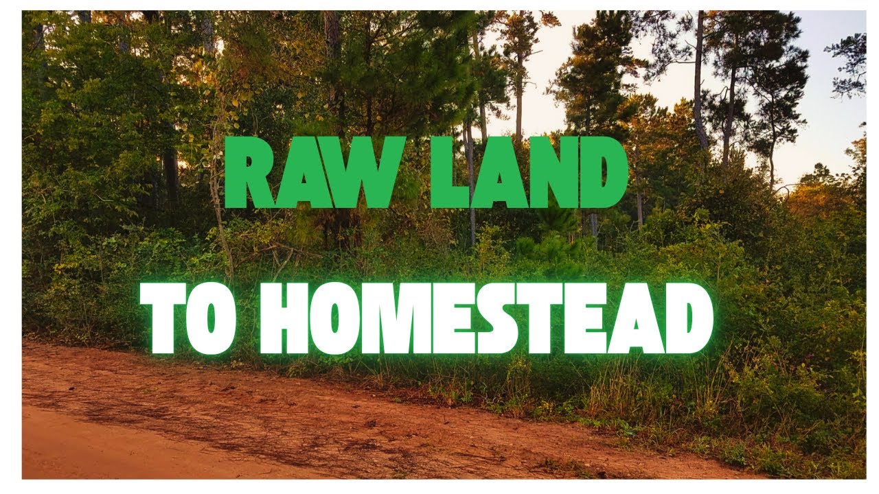 Before and Now Homestead TOUR!