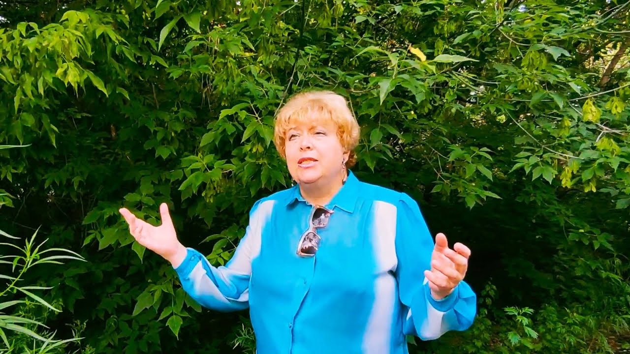 Три Листочка (муз,А.Гаргов) Поёт автор русского текста Людмила Иволга