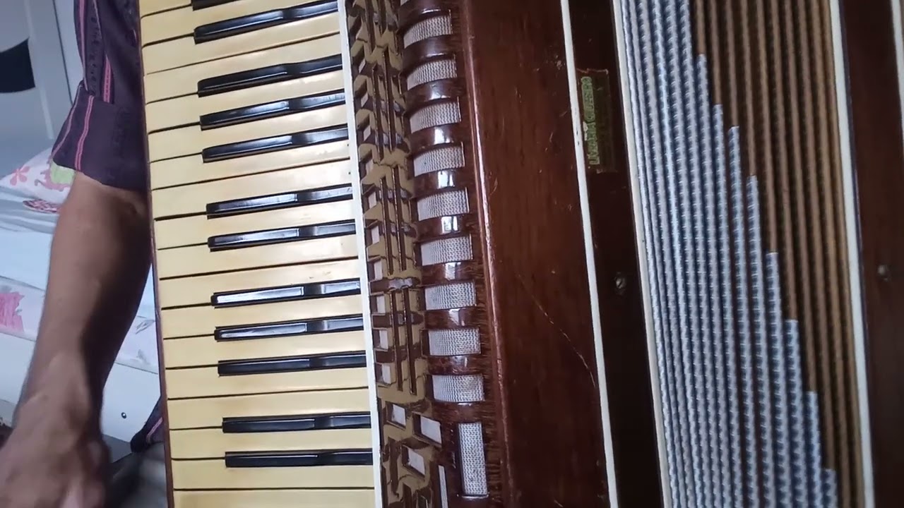 Vídeo aula -  ESQUEMA PREFERIDO -  Barōes da Pisadinha.