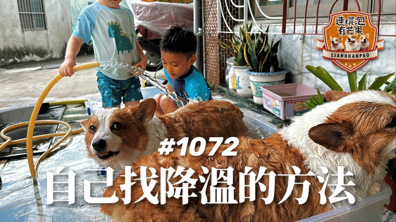［散步日常］#1072 自己找降溫的方法