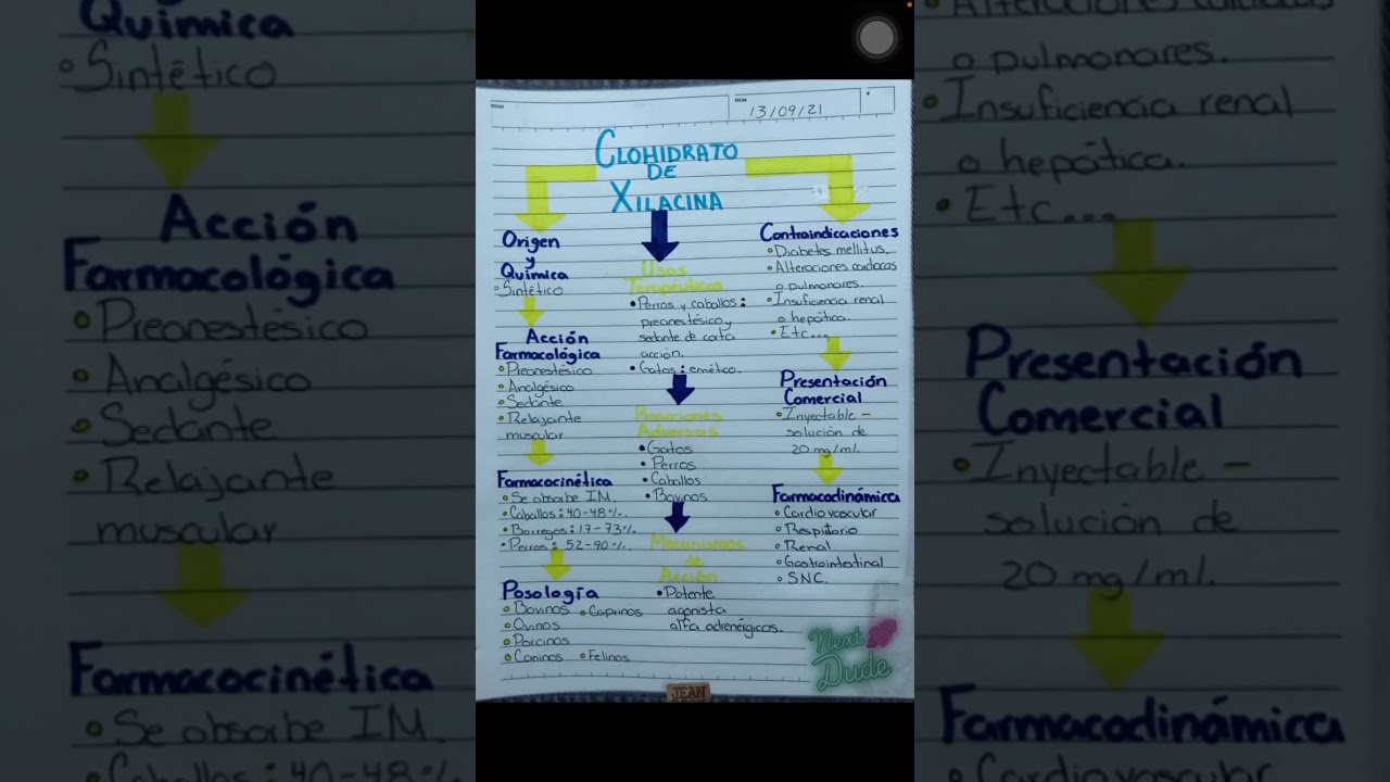 Xilacina-Farmacolog&iacute;a y Toxicolog&iacute;a Veterinaria