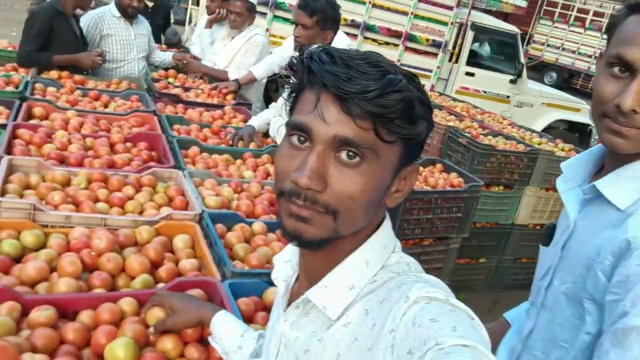 आज चे टोम्याटो रेट लातूर||टोमाटो बाजार भाव लातूर||Tomato 🍅 Ret Holsel Latur Bajar ||