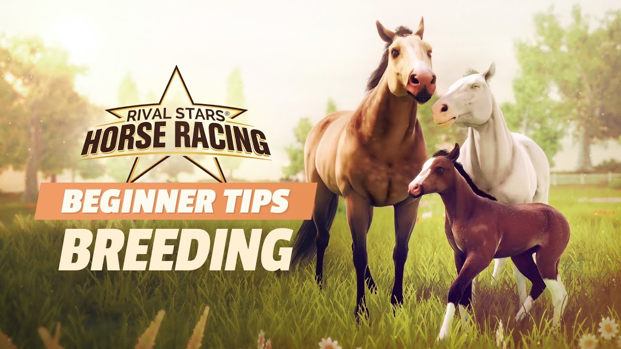 Rival Stars Horse Racing Beginner Tips - Breeding