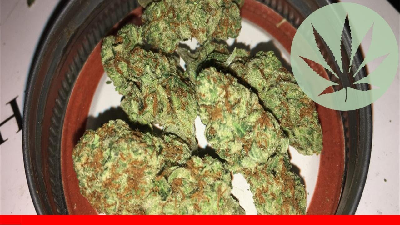 Juliet - All About This Strain