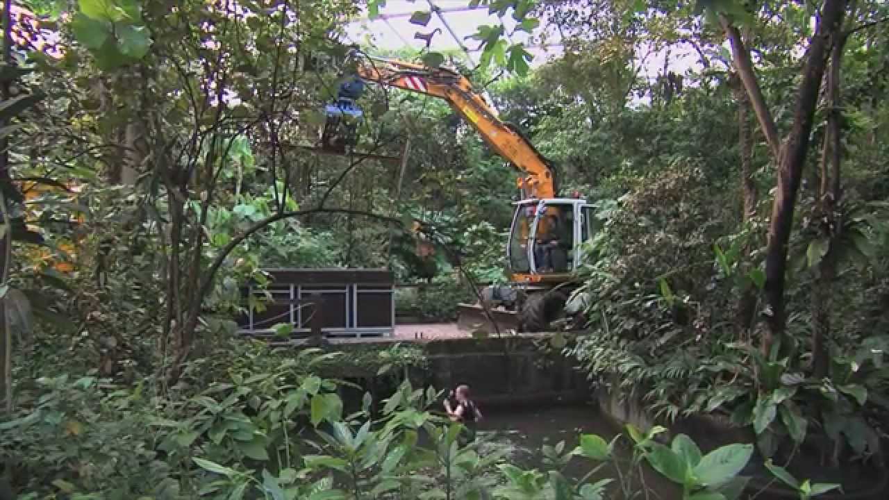 Verhuizing zeekoe naar Parijs | Burgers' Zoo Natuurlijk | Arnhem