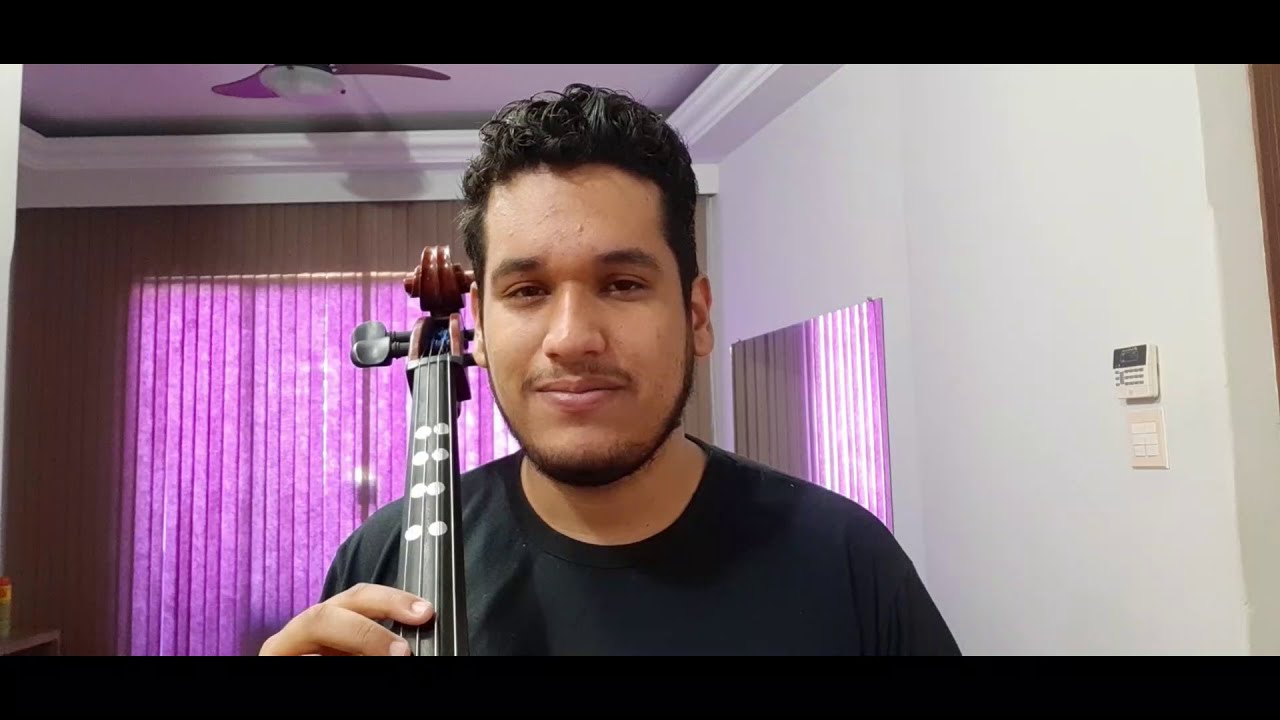 Bemóis e Sustenidos