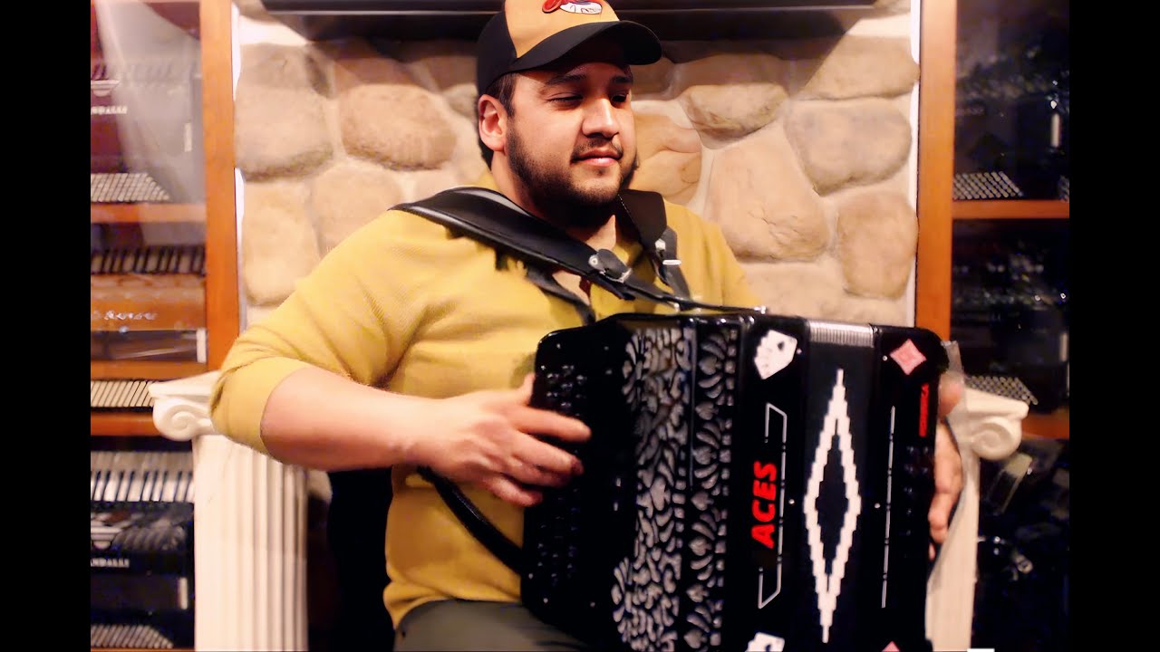 HOHNACESIIFBK - Black Decorated Hohner Aces II Diatonic Button Accordion FBbEb Fa MM 34 12 $1799