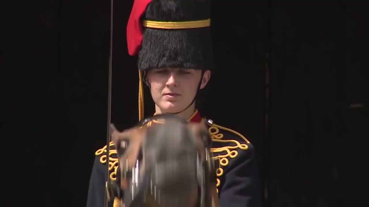 The Kings Troop Royal Horse Artillery