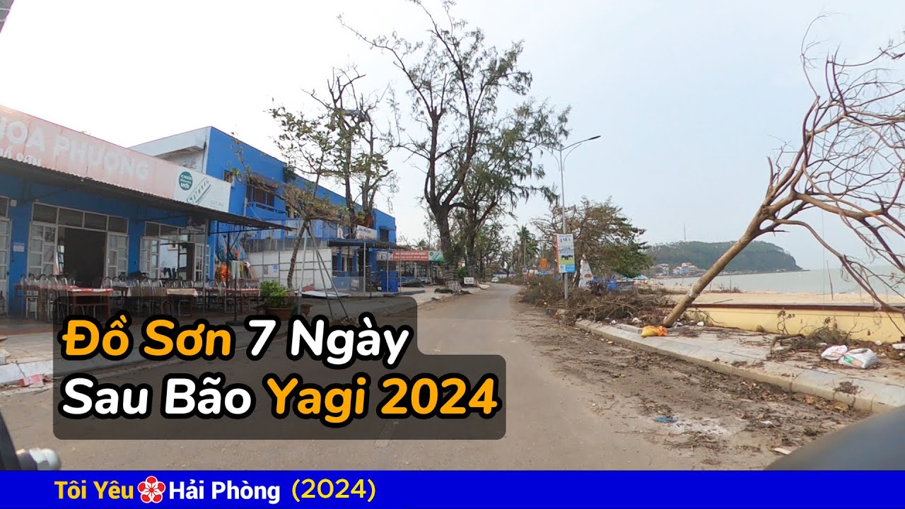 Đồ Sơn 7 ngày sau bão Yagi về Hải Phòng năm 2024