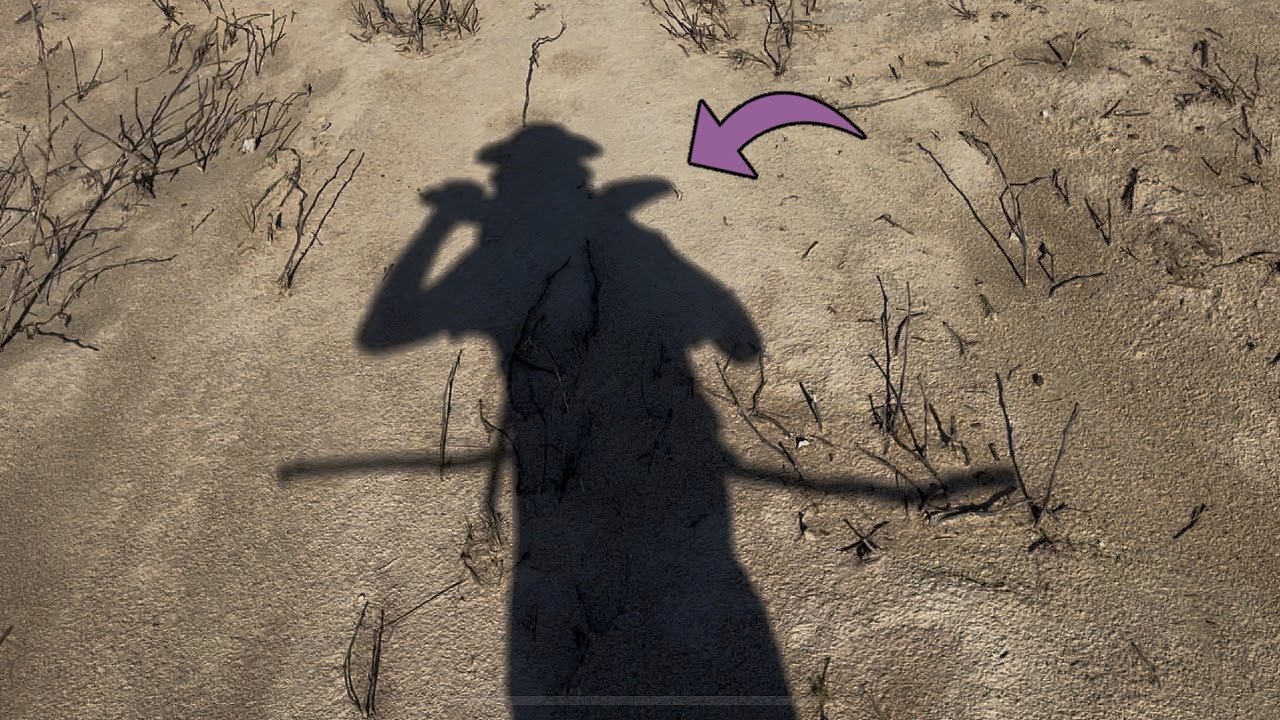 Arrowhead Hunting: What's On His Back?! (2025)