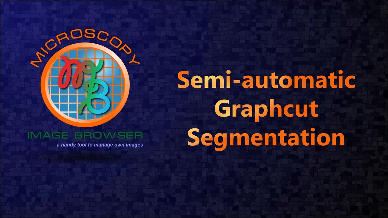 MIB: Semi-automatic graphcut segmentation