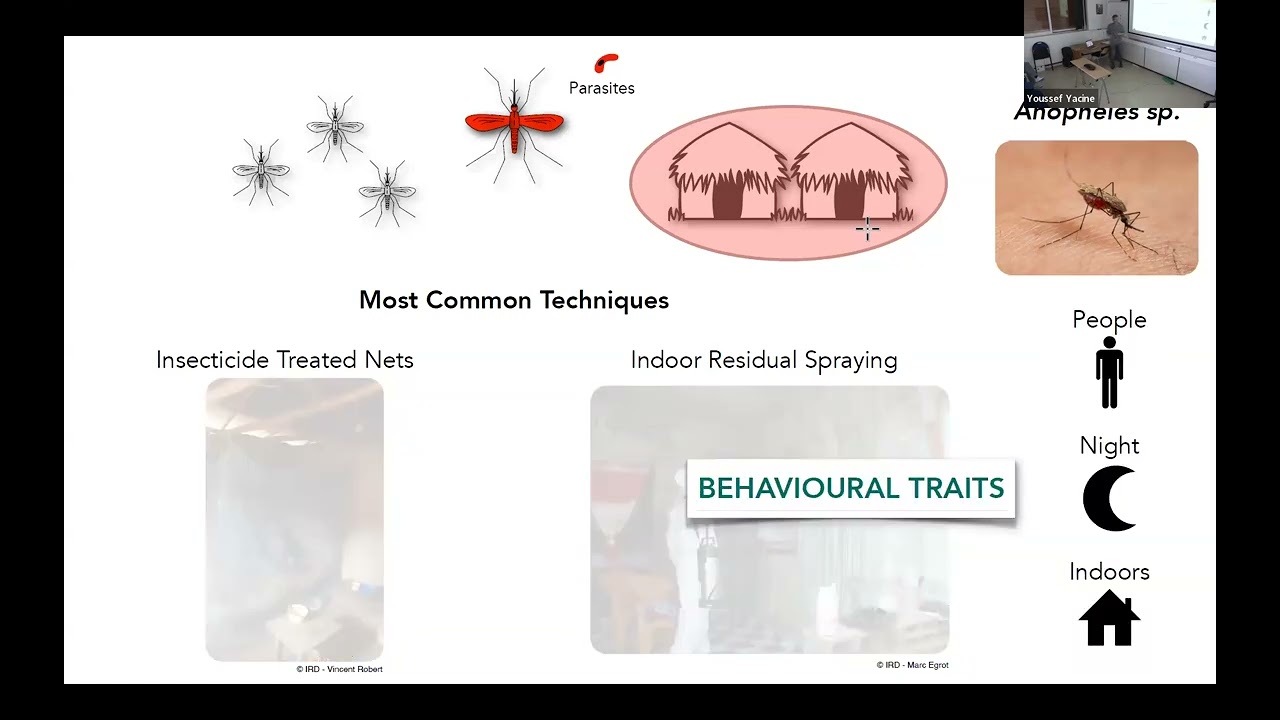 SEEM Seminar 2025 02 20 D Carrasco: Mind their minds:mosquitoes’ behavioral modifications (...)