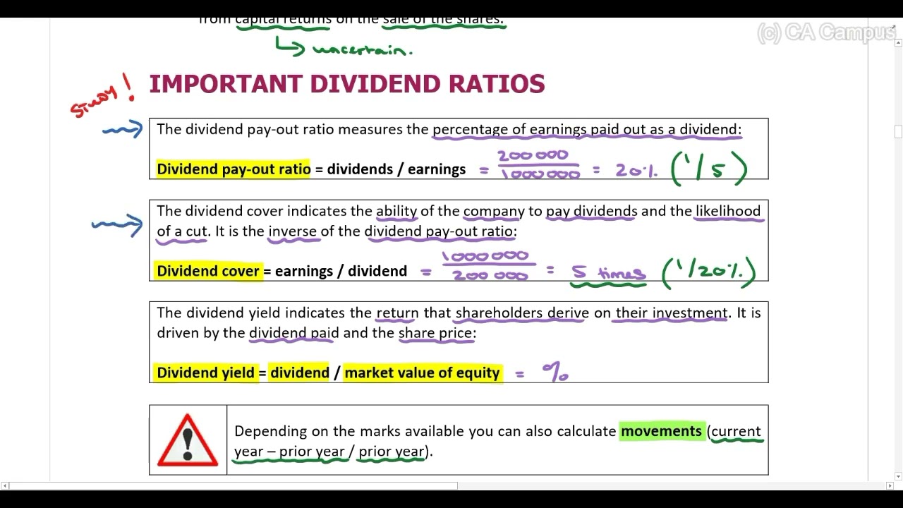 The Dividend Decision   Part 1