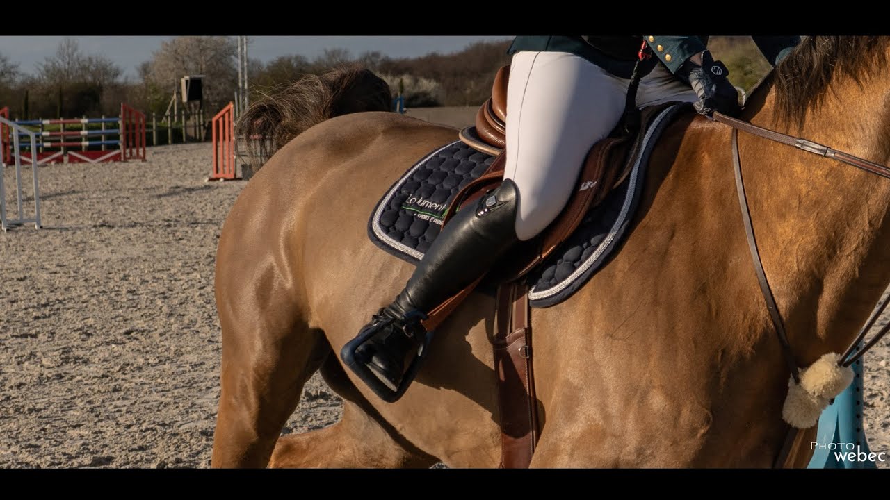 Sport-études équitation - La Jument verte - Interview Sueva