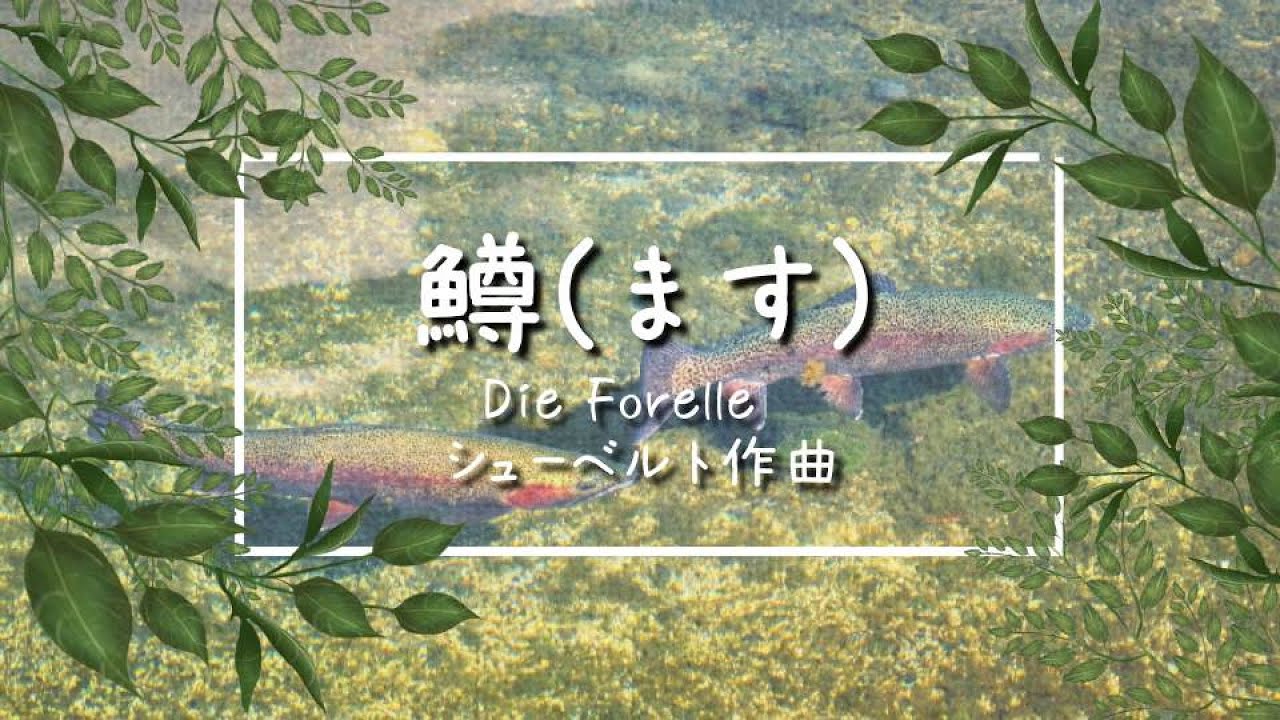 シューベルト歌曲 鱒 Die Forelle【ドイツリート/字幕で聴く歌曲】