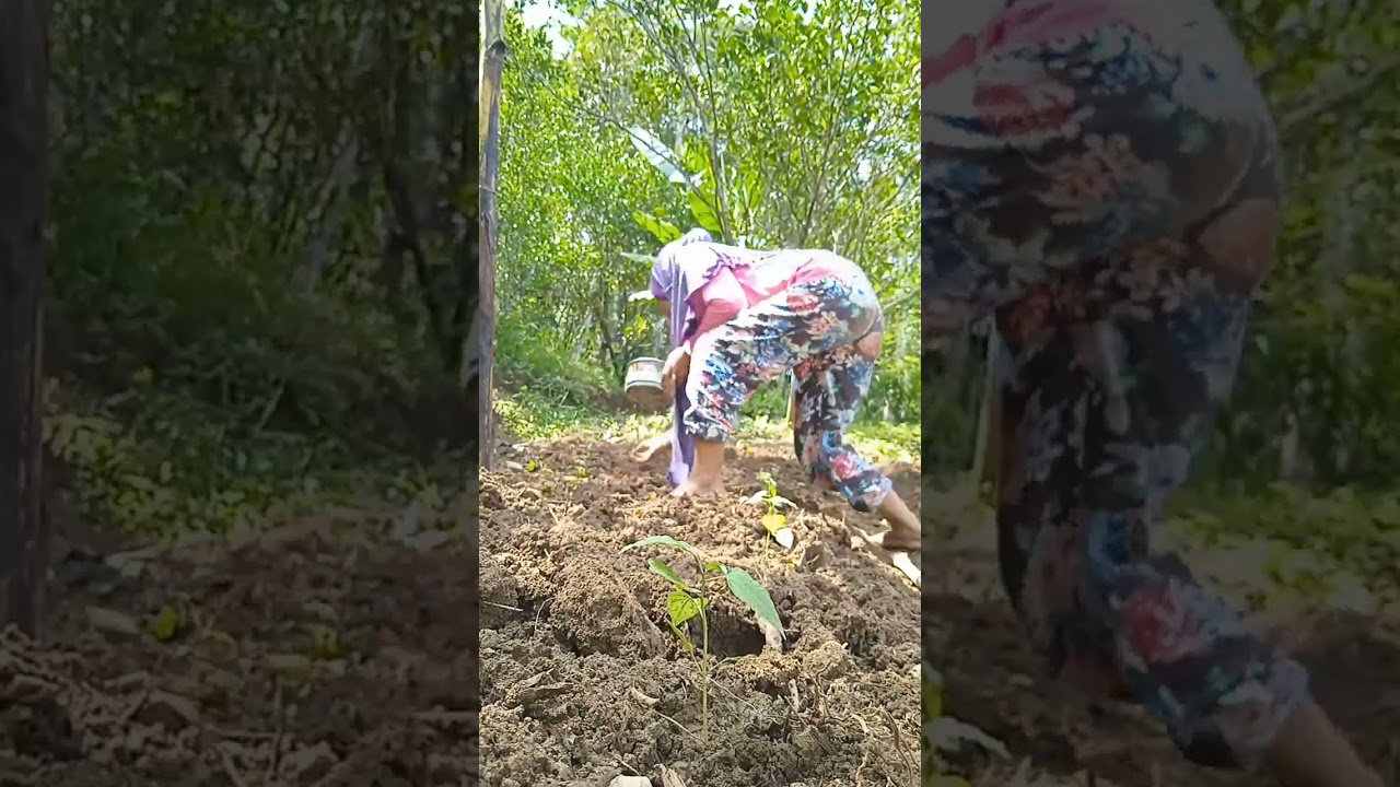 Berkebu!n sambil bersolawat