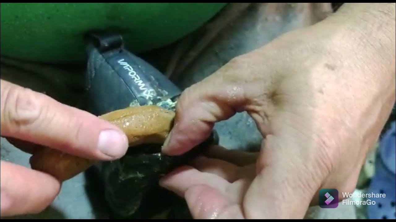 Reparación de zapatilla con aire.