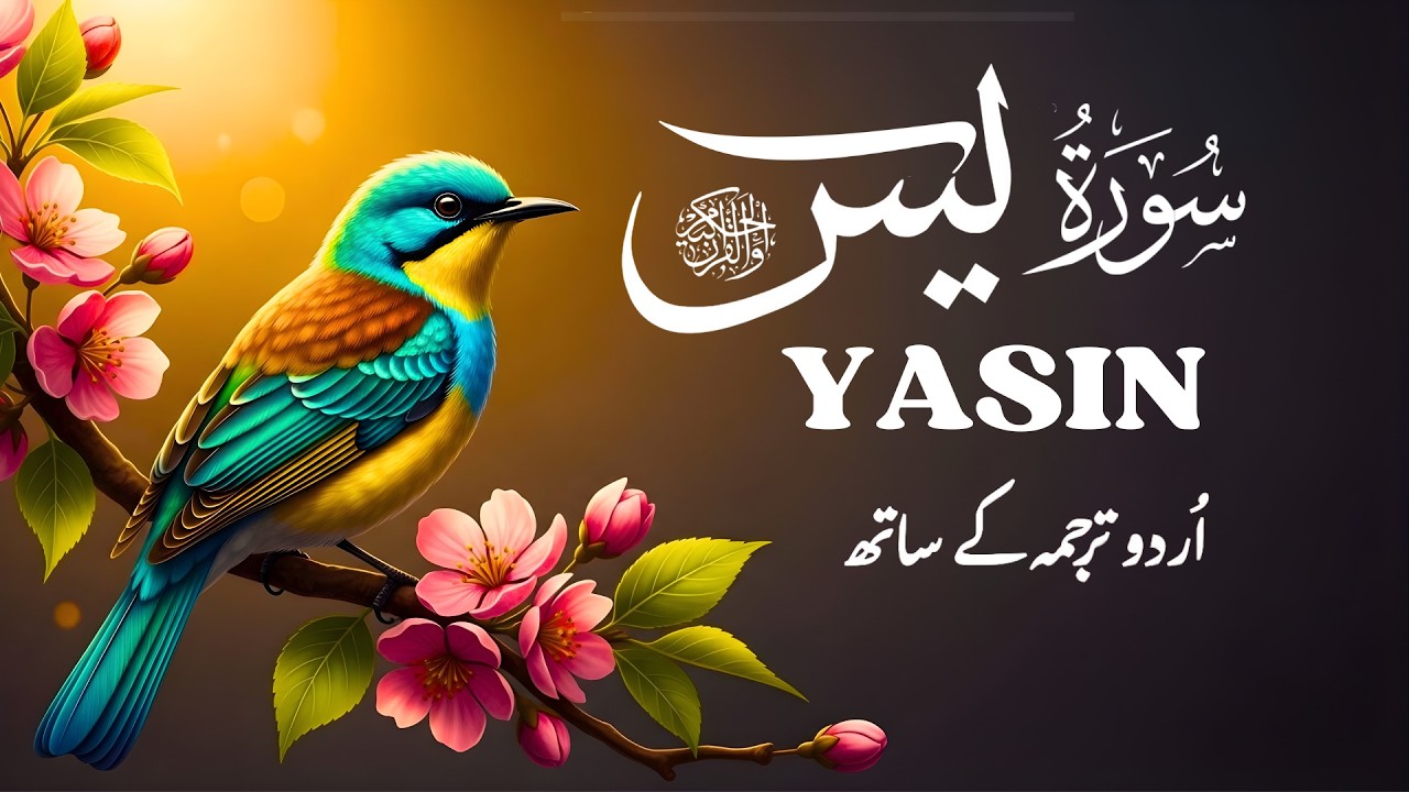 Surah Yasin (Yaseen) | Urdu Tarjuma | Soothing Quran for Heart Calm & Mental Peace