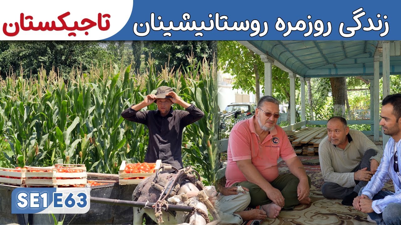 از سویدن تا افغانستان: زندگی روزمره در روستاهای خجند تاجیکستان