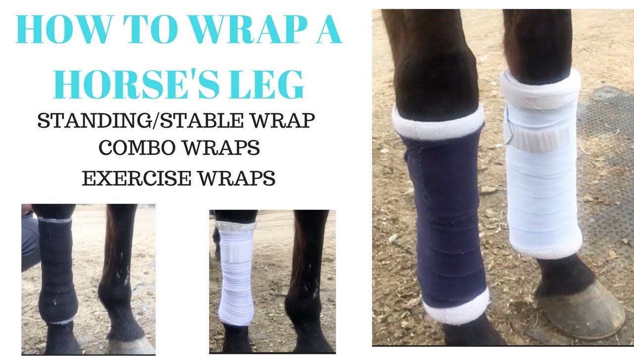 How to Wrap A Horse's Leg (Pony Club Way) | Stable/Standing, Eskadron Combo, Exercise Wrap