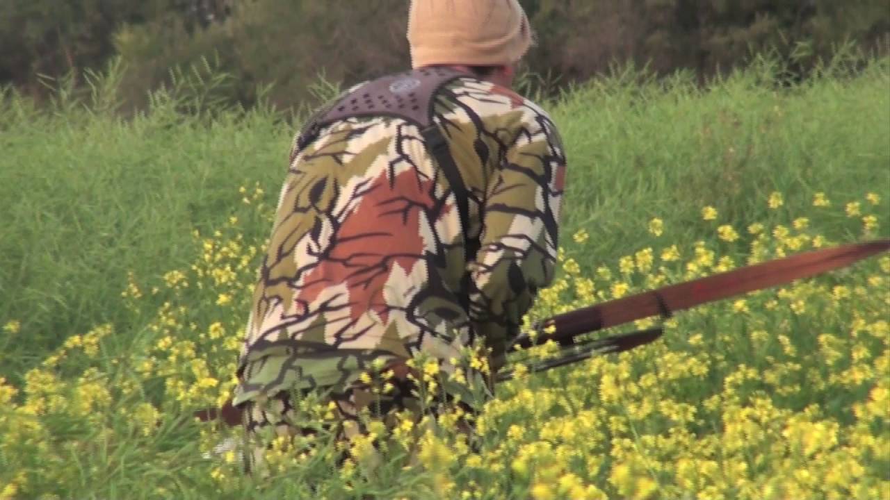 2016 Recurve Elk Hunt