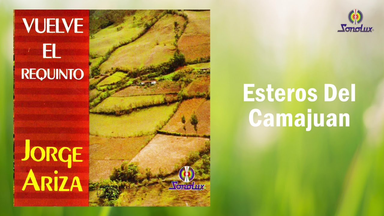 Esteros Del Camajuan - Jorge Ariza | Carranga | Cover Audio