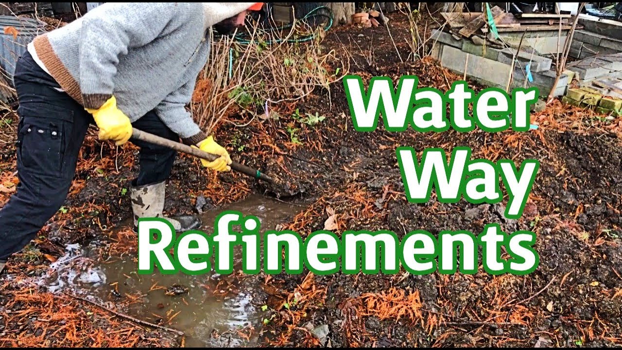 Water Ways - Refining, deepening, observing and adding more complexity