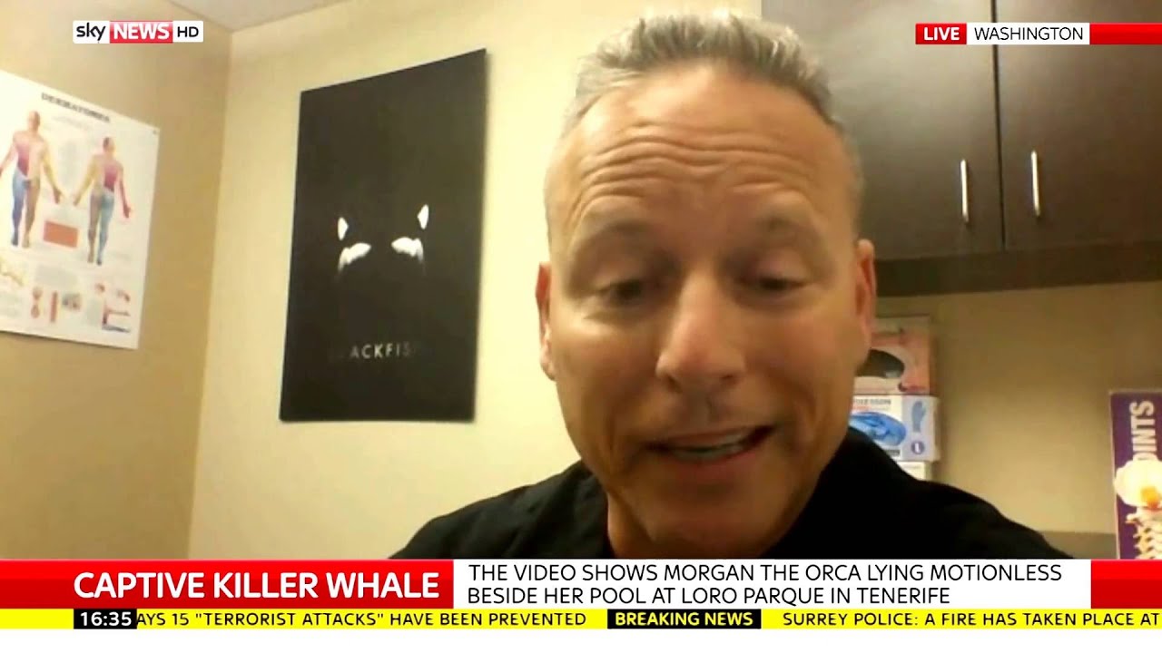 Kay Burley Speaks To Dr Jeffrey Ventre