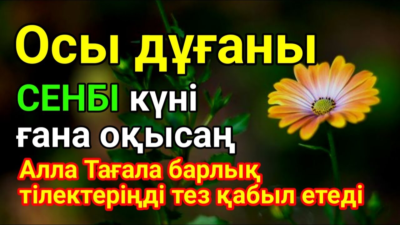 СЕНБІ 🤲✨ КҮНІ ЕҢ ҚҰДІРЕТТІ ДҰҒА!, Барлық тілектер орындалады! БАЙЛЫҚ, ПАЙДА ЖӘНЕ БАҚЫТ🌙 #duaforrizq