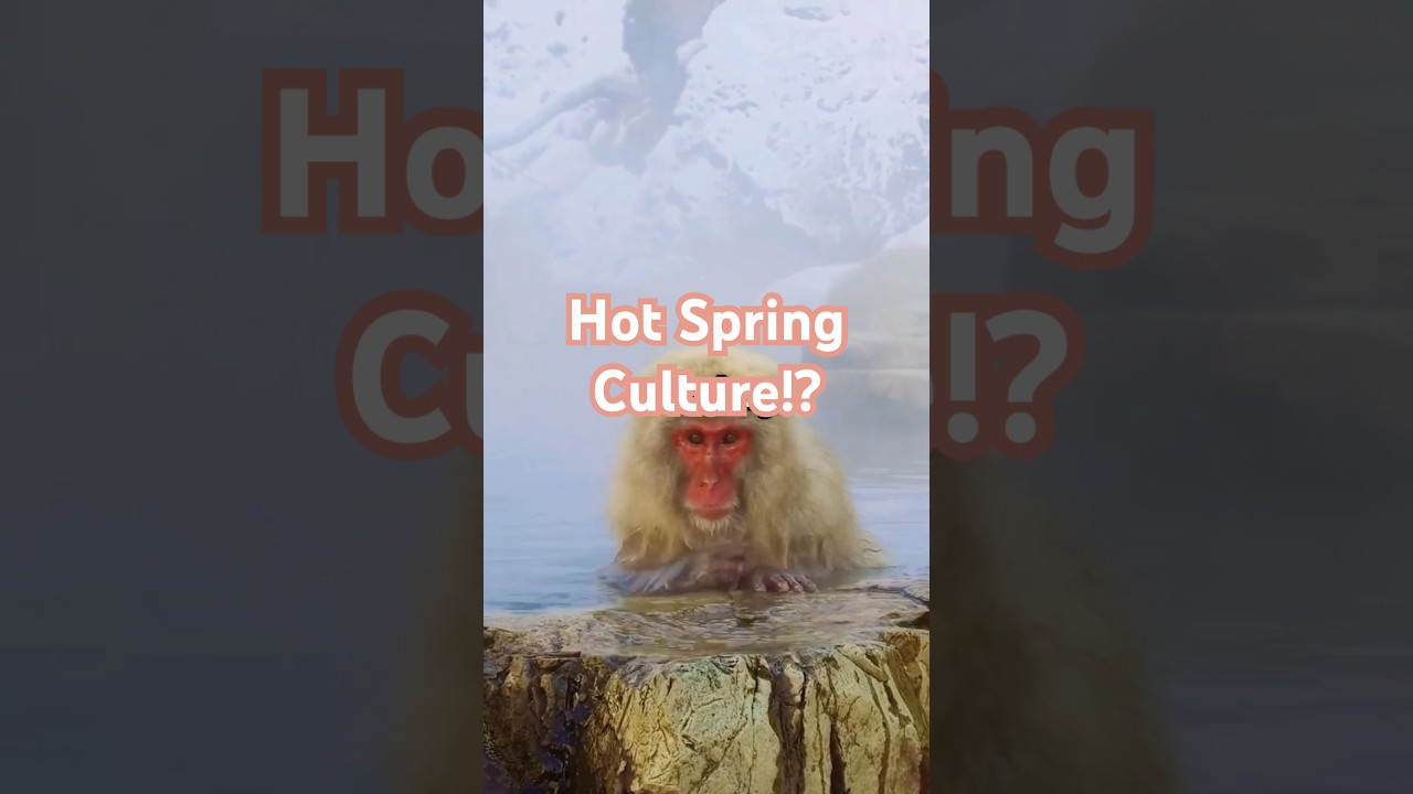 Monkeys in Hot Springs? It’s Cultural! 