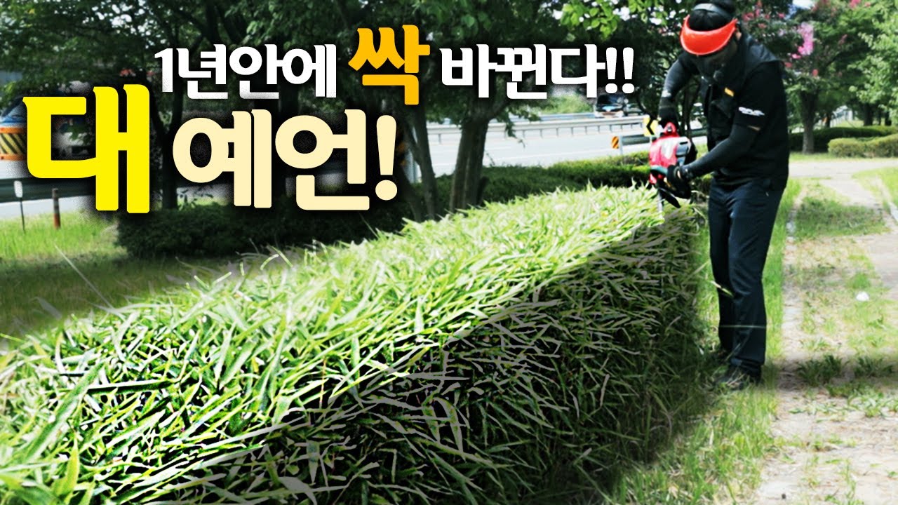 【🤴Ep.008】충전트리머!! 정원?조경장비?!1년안에 싹-! 바뀐다!!(ft.북성공업 HT40 해지트리머!)