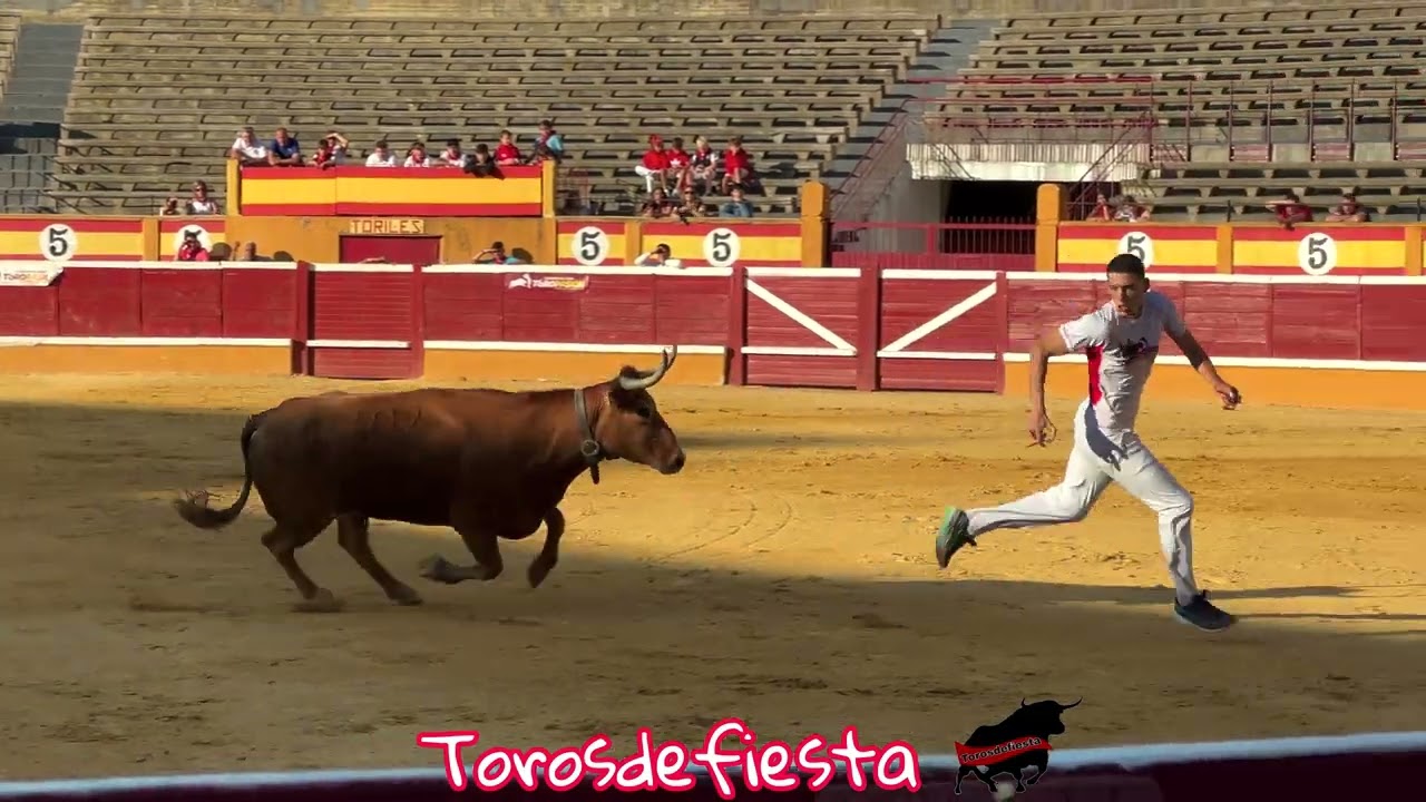Tudela concurso de anillas ganadería Eulogio Mateo 