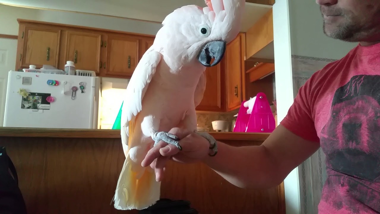A little trick