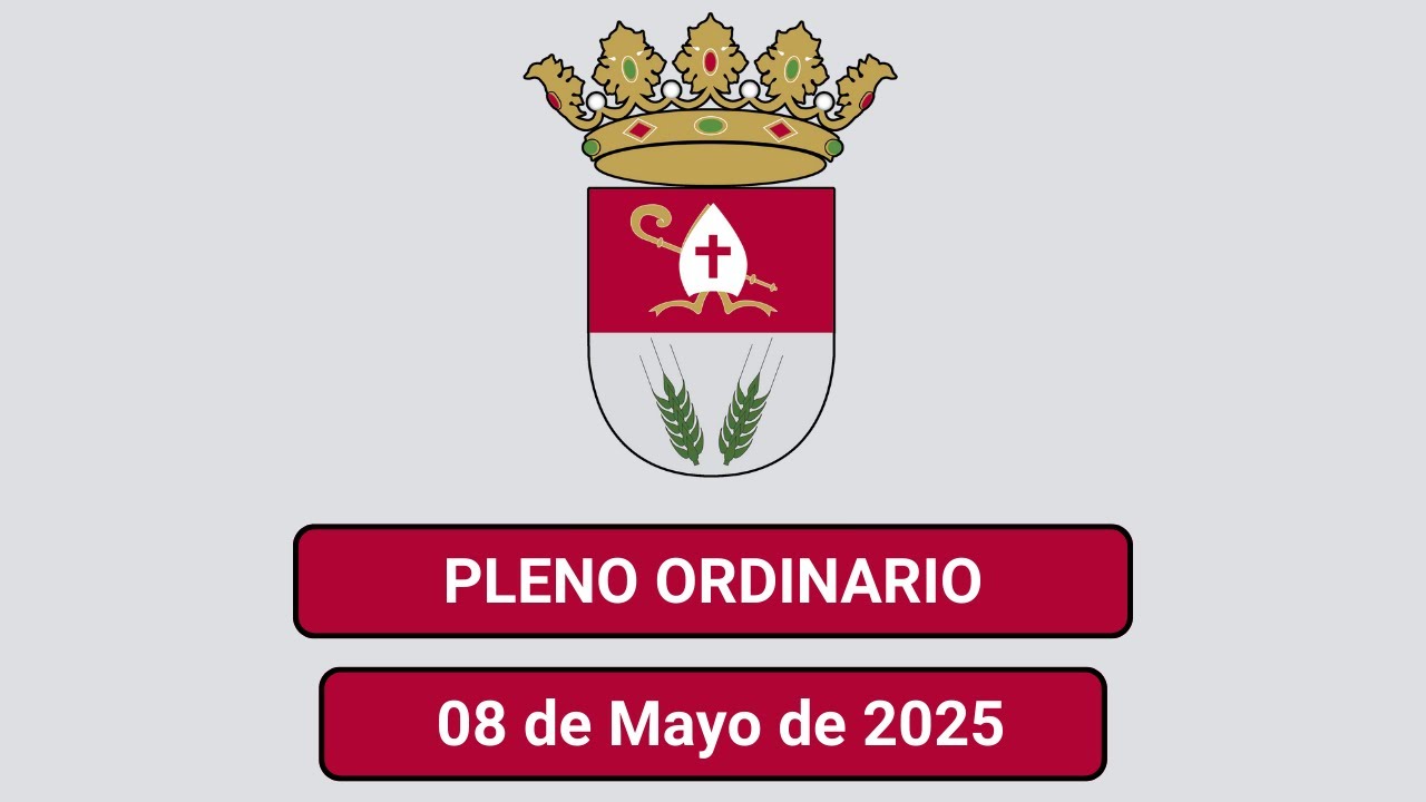 Pleno Ordinario de 08 de Mayo de 2025