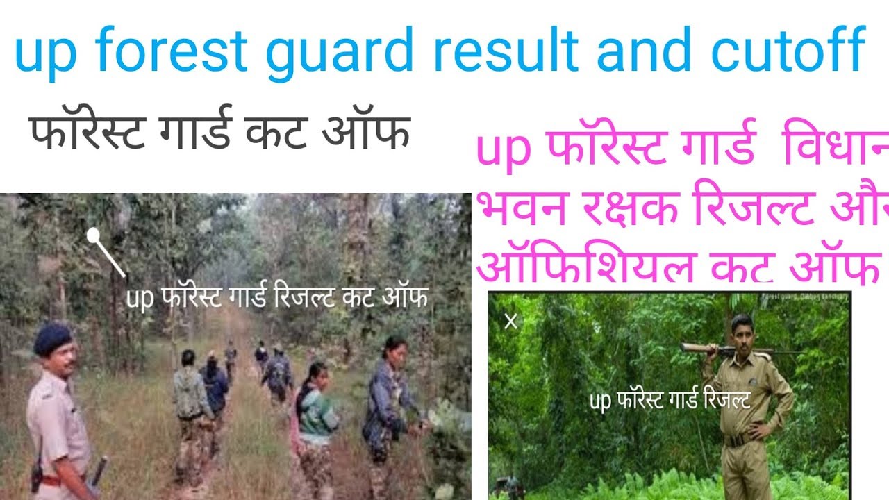 up forest guard result 2019 || cut off forest guard ||  यूपी फॉरेस्ट गार्ड रिजल्ट और कट ऑफ....