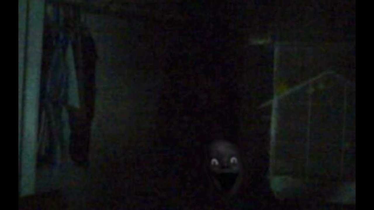 I played the scary game Motherbird