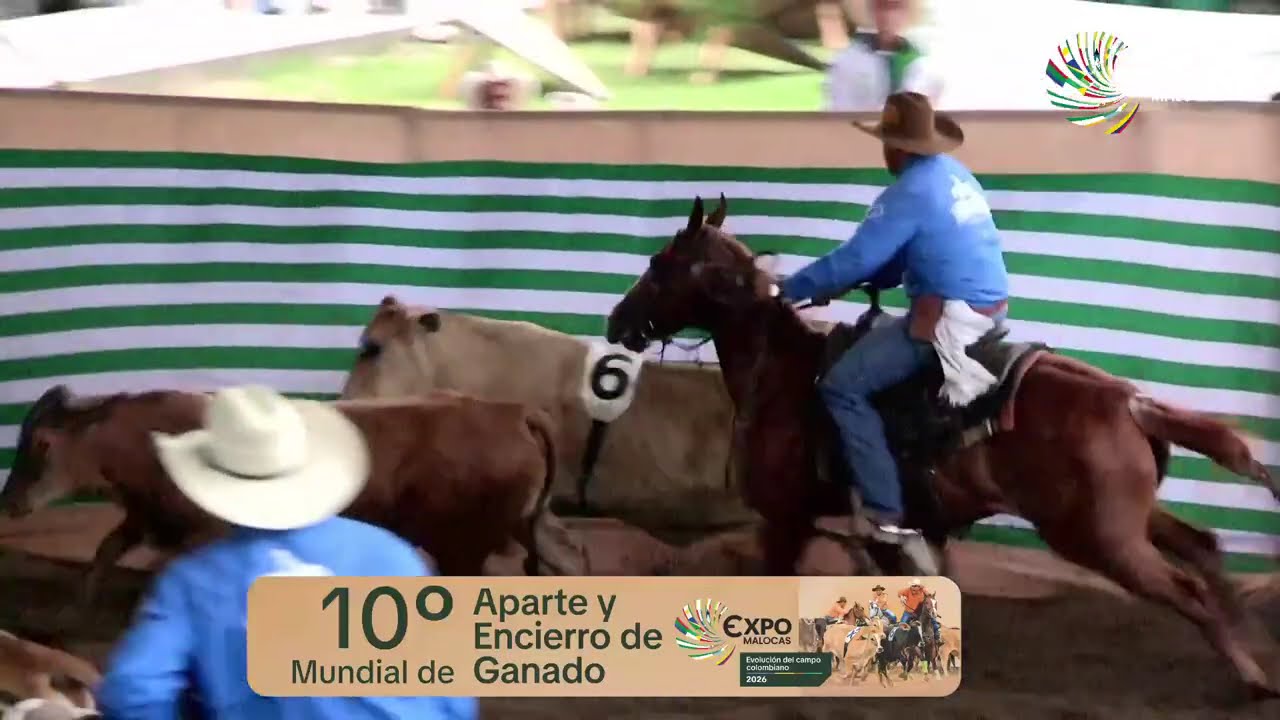 10 Mundial de Aparte y Encierro de Ganado Segundo Día - Final