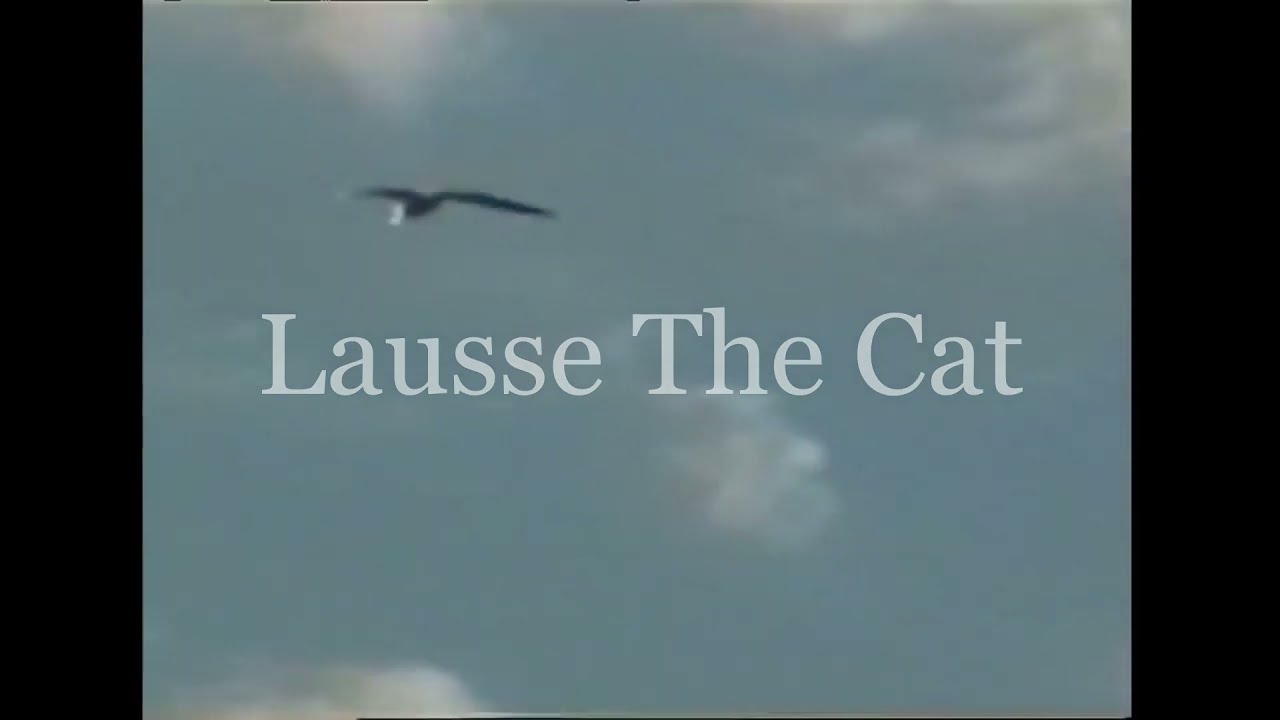 Lausse The Cat is underrated