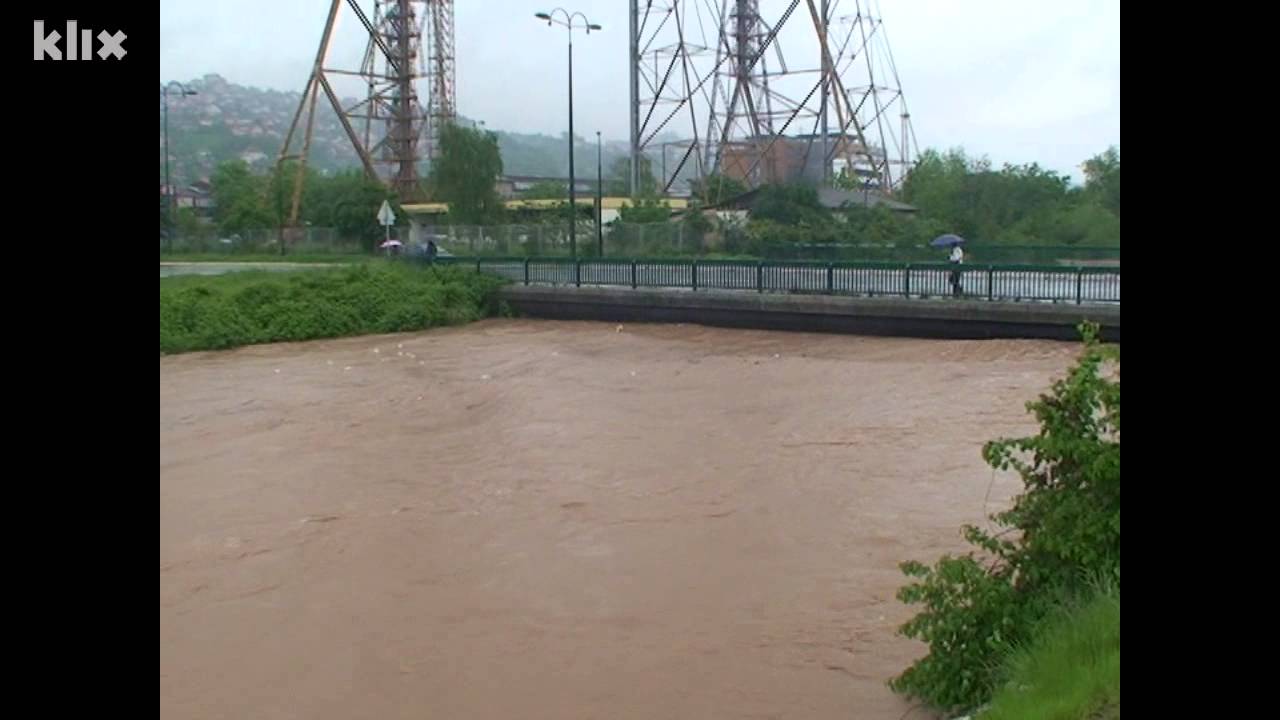 Alipa&scaron;ino Polje