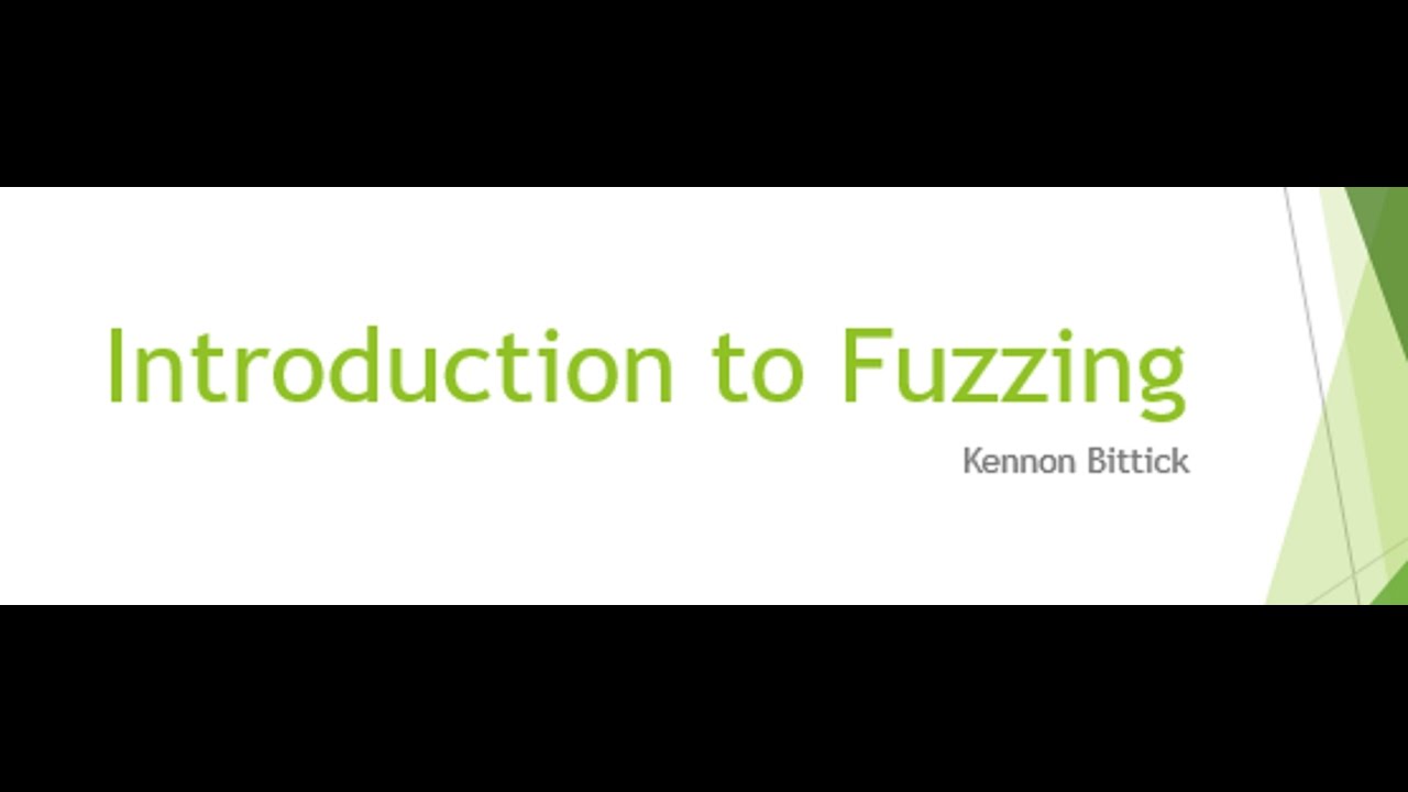 Introduction to Software Fuzzing