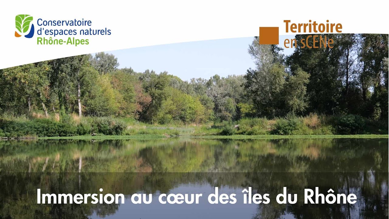 Les iles du Rhône : Immersion au cœur d'une zone humide préservée