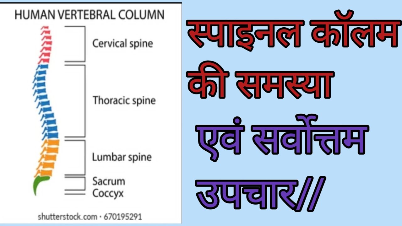 Spine bone diseases |spinal cord arthritis|रीढ़ की हड्डी टीबी का इलाज|Spine tuberculosis treatment
