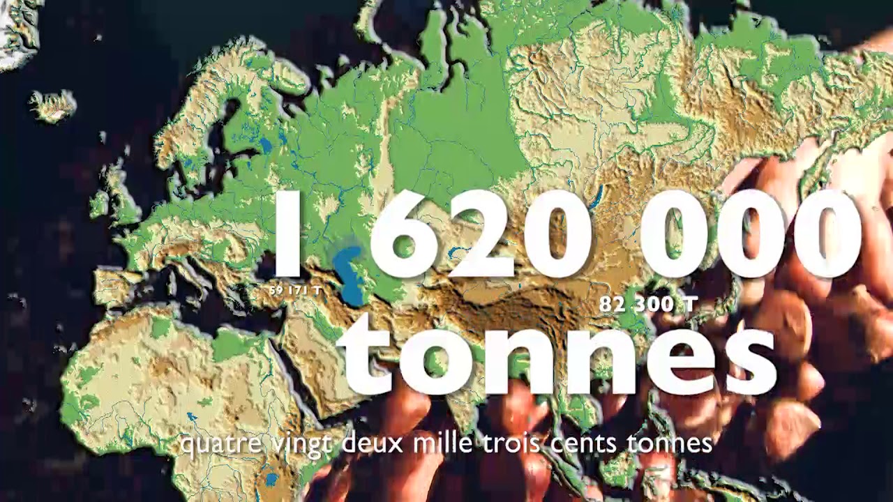 9. L' économie de la châtaigne